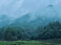 -九曲溪竹筏码头