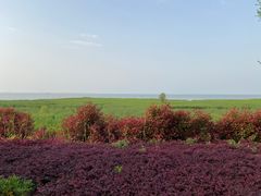 -苏州太湖国家湿地公园