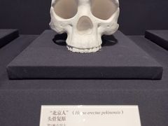 -北京周口店北京人遗址博物馆