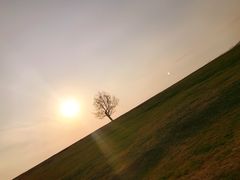 -钟山体育运动公园