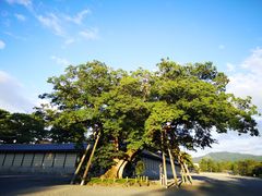 -京都御所
