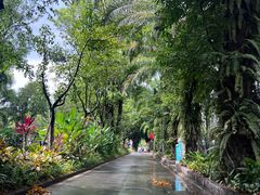 -西双版纳勐泐文化旅游区