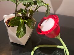 -EATALIA意塔利意式餐厅(鼓楼店)