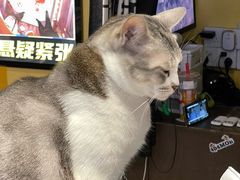 -谜盒子奇幻密室(南屏店)