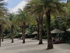 -腾冲洞山温泉村