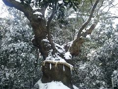 -热田神宫