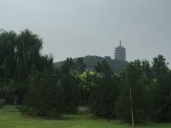 -永定河休闲森林公园