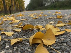 -汉长安城未央宫国家考古遗址公园