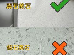-大树装饰·十年本土家装