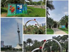 -文华公园(禅城区)