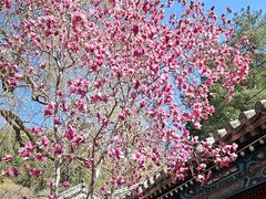 -潭柘寺景区