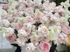 -淘花源花艺鲜花店 开业花篮 绿植(南部商务区店)