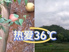 -成都动物园