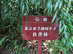 -都江堰中华大熊猫苑