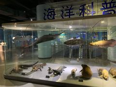-泉城欧乐堡海洋极地世界