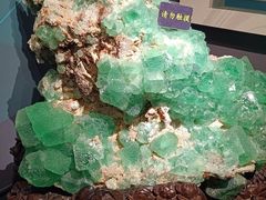 -湖南省地质博物馆