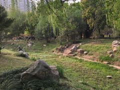 -堤角公园