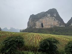 -明仕田园
