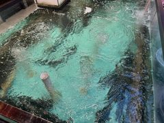 -鱼痴渔醉·食鲜集(月亮湾店)