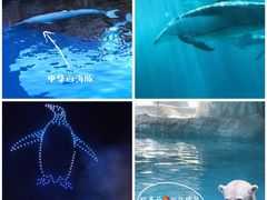 -珠海长隆海洋王国