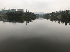 -枫香湖儿童公园