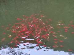 -北京上方山国家森林公园