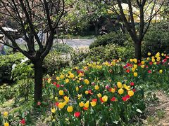 -南山植物园