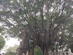 -船政文化景区-罗星塔公园