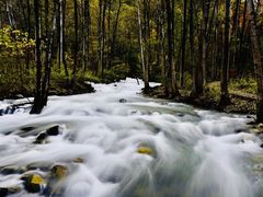 -叠溪松坪沟景区