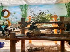 -西霞口神雕山野生动物世界