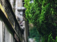 -颐和园