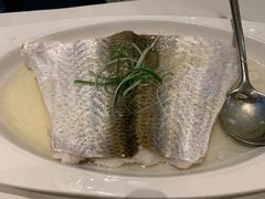 淸蒸白鱼-太湖饭店·寄畅轩中餐厅