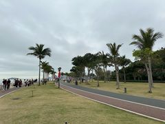 -野狸岛