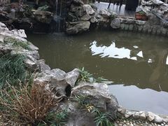 -漫渡庄绿岛花园•隐世庭园菜(滨湖店)