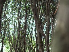 -铭莲·八卦田水上餐厅