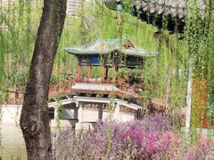 -迎泽公园
