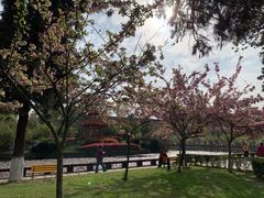 -四川大学(望江校区)