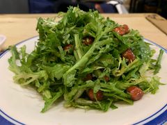 生拌苦菊-左邻右舍褡裢火烧(石榴园店)