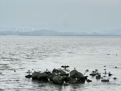 -深圳湾公园(南山区)
