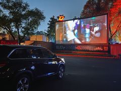 -枫花园汽车电影院(朝阳公园店)