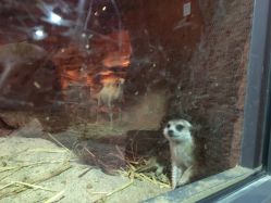 -酷嗒动物文化乐园(cutezoo西溪乐天城店)