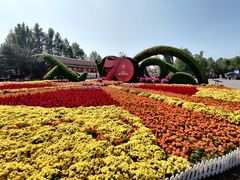 -大兴滨河森林公园