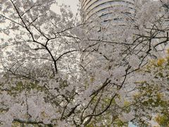 -玛格萝妮比萨屋(四平店)