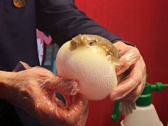 -肆月河豚·新淮扬菜·烤鸭(中关村店)