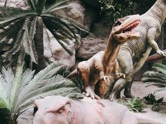 -国家自然博物馆