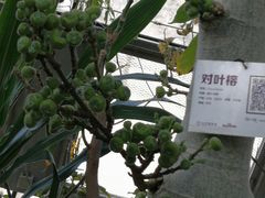 -北京植物园-展览温室