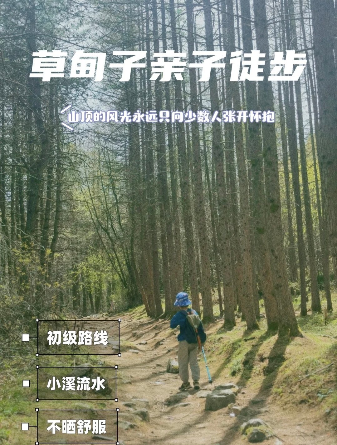 西安秦岭分水岭草甸子亲子徒步