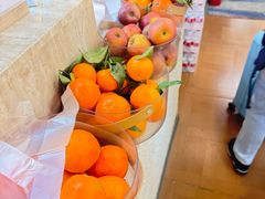 -国宝熊猫酒店(春熙路天府广场店)