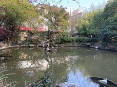 -汇龙潭