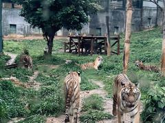 -泉州海丝野生动物世界